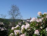 pohled na mírovský hrad-věznici z rozkvetlého vězeňského hřbitova, fotodokumentace pořízena květen 2007 