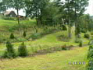 část vězeňského hřbitova, fotodokumentace pořízena srpen 2006
