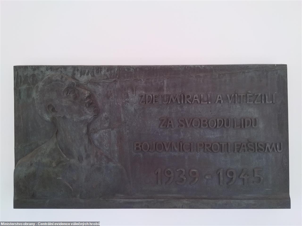 CZE8119-31363