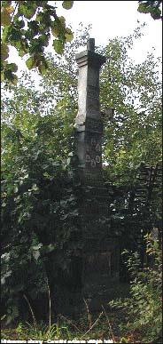 CZE4211-647