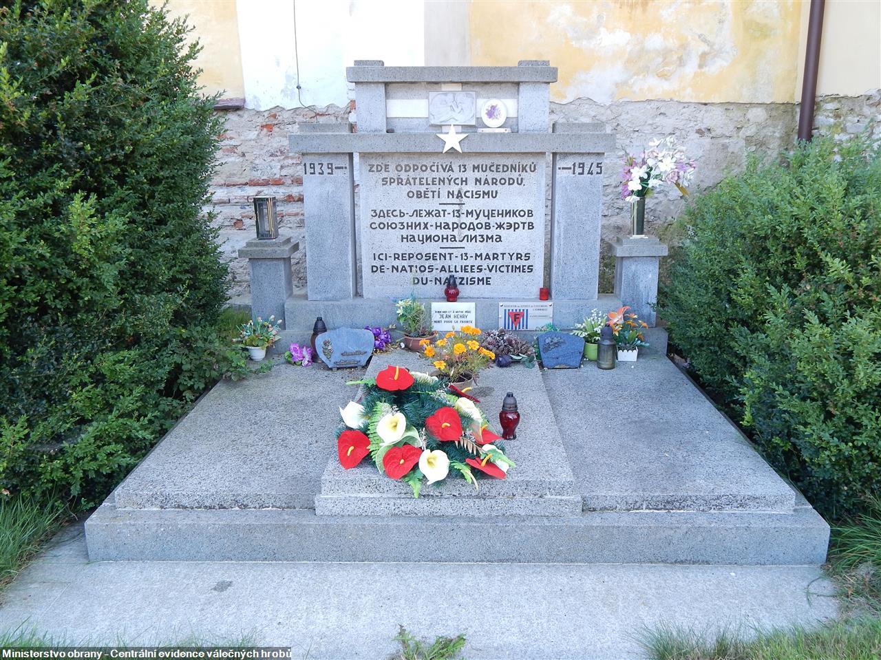 CZE3106-37709